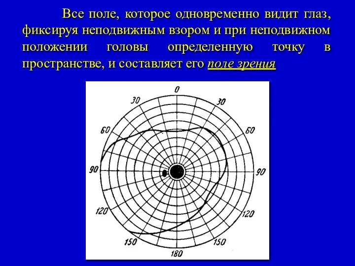 Все поле, которое одновременно видит глаз, фиксируя неподвижным взором и при