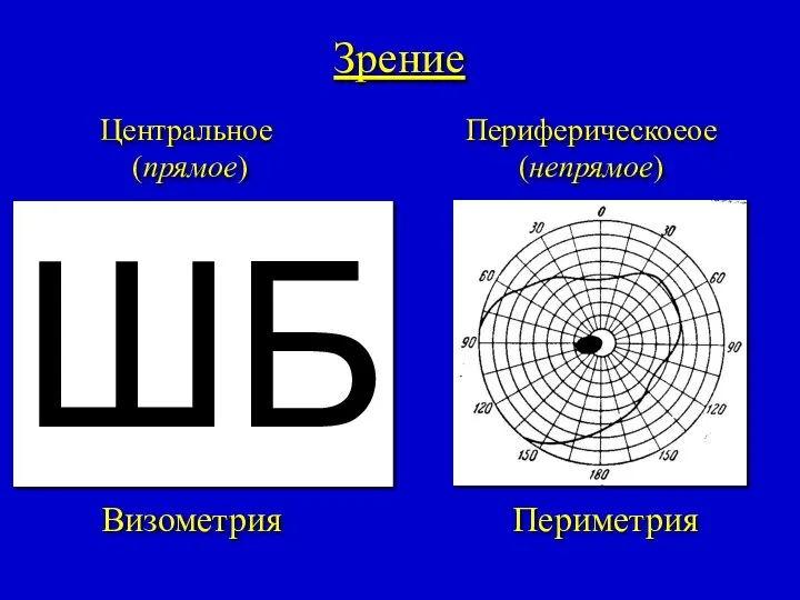 Зрение Центральное (прямое) Периферическоеое (непрямое) Визометрия Периметрия ШБ