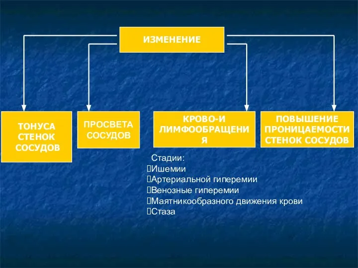 ПРОСВЕТА СОСУДОВ КРОВО-И ЛИМФООБРАЩЕНИЯ ПОВЫШЕНИЕ ПРОНИЦАЕМОСТИ СТЕНОК СОСУДОВ ТОНУСА СТЕНОК СОСУДОВ