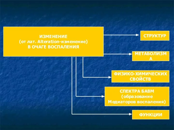 ИЗМЕНЕНИЕ (от лат. Alteration-изменение) В ОЧАГЕ ВОСПАЛЕНИЯ ФУНКЦИИ СПЕКТРА БАВМ (образование