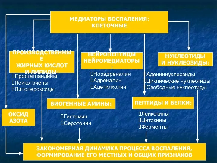 ПРОИЗВОДСТВЕННЫЕ ЖИРНЫХ КИСЛОТ И ЛИПИДЫ: МЕДИАТОРЫ ВОСПАЛЕНИЯ:КЛЕТОЧНЫЕ НЕЙРОПЕПТИДЫ НЕЙРОМЕДИАТОРЫ: БИОГЕННЫЕ АМИНЫ: