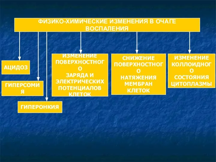 ФИЗИКО-ХИМИЧЕСКИЕ ИЗМЕНЕНИЯ В ОЧАГЕ ВОСПАЛЕНИЯ АЦИДОЗ ГИПЕРСОМИЯ ГИПЕРОНКИЯ ИЗМЕНЕНИЕ ПОВЕРХНОСТНОГО ЗАРЯДА