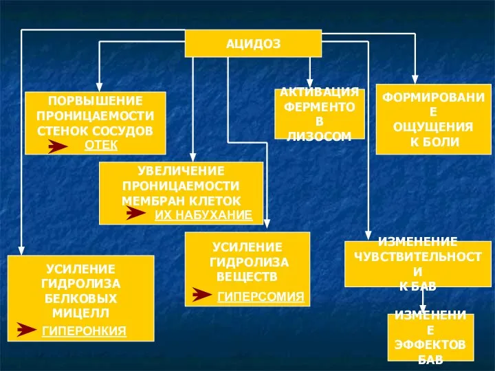 ПОРВЫШЕНИЕ ПРОНИЦАЕМОСТИ СТЕНОК СОСУДОВ УВЕЛИЧЕНИЕ ПРОНИЦАЕМОСТИ МЕМБРАН КЛЕТОК УСИЛЕНИЕ ГИДРОЛИЗА БЕЛКОВЫХ