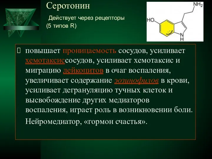 Серотонин Действует через рецепторы (5 типов R) повышает проницаемость сосудов, усиливает