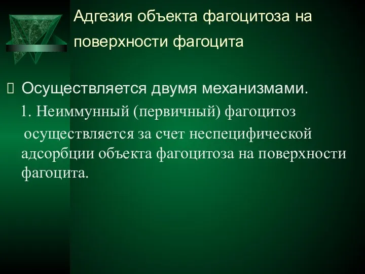 Адгезия объекта фагоцитоза на поверхности фагоцита Осуществляется двумя механизмами. 1. Неиммунный