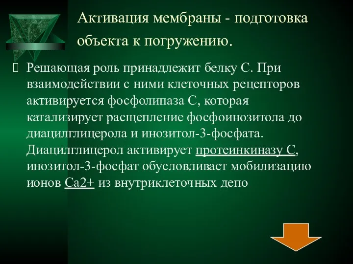 Активация мембраны - подготовка объекта к погружению. Решающая роль принадлежит белку