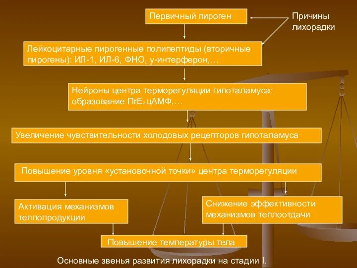 Первичный пироген Причины лихорадки Лейкоцитарные пирогенные полипептиды (вторичные пирогены): ИЛ-1, ИЛ-6,