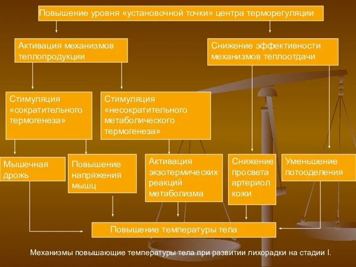 Повышение уровня «установочной точки» центра терморегуляции Активация механизмов теплопродукции Снижение эффективности