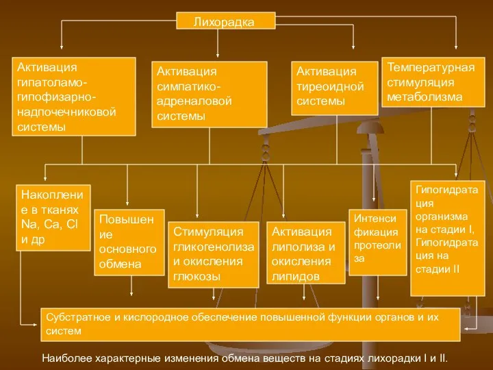 Лихорадка Активация гипатоламо-гипофизарно-надпочечниковой системы Активация симпатико-адреналовой системы Активация тиреоидной системы Температурная