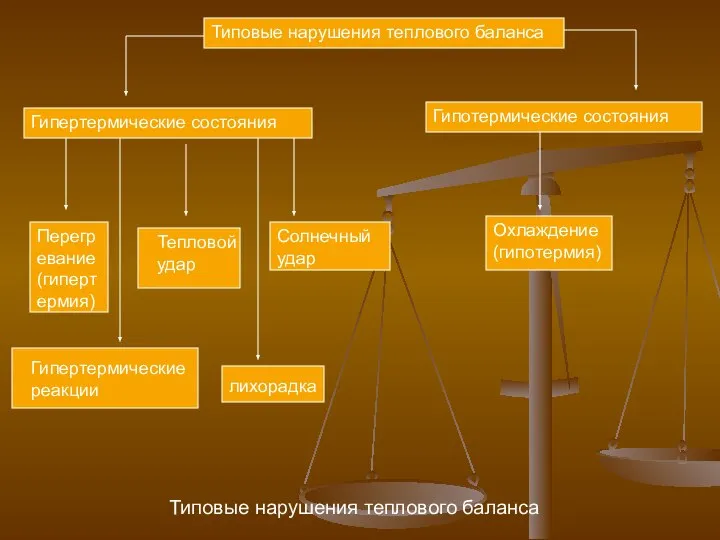 Типовые нарушения теплового баланса Типовые нарушения теплового баланса Гипертермические состояния Гипотермические