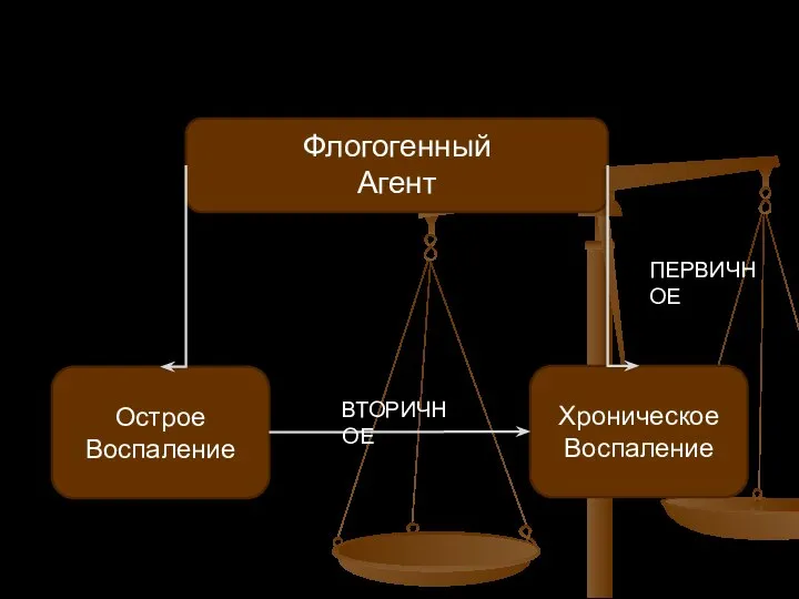 Флогогенный Агент Хроническое Воспаление Острое Воспаление ВТОРИЧНОЕ ПЕРВИЧНОЕ