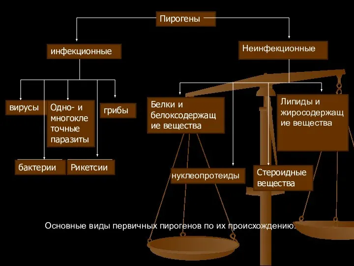 Пирогены инфекционные Неинфекционные вирусы Одно- и многоклеточные паразиты грибы бактерии Рикетсии