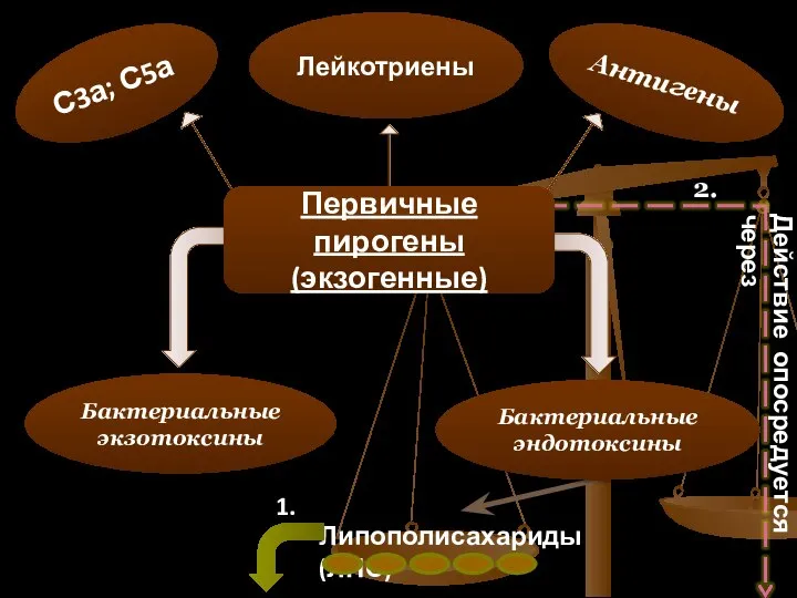 Первичные пирогены (экзогенные) Бактериальные экзотоксины Антигены С3а; С5а Лейкотриены Липополисахариды (ЛПС)