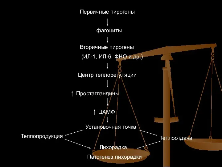 Первичные пирогены фагоциты Вторичные пирогены (ИЛ-1, ИЛ-6, ФНО и др.) Центр