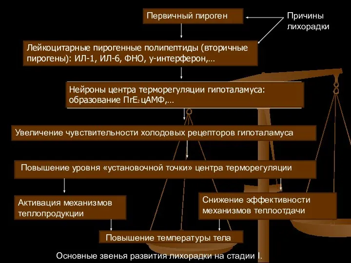 Первичный пироген Причины лихорадки Лейкоцитарные пирогенные полипептиды (вторичные пирогены): ИЛ-1, ИЛ-6,