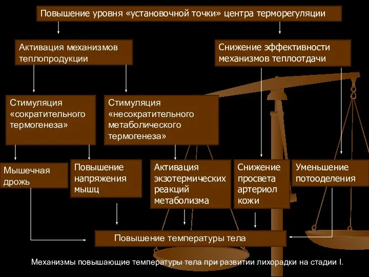 Повышение уровня «установочной точки» центра терморегуляции Активация механизмов теплопродукции Снижение эффективности