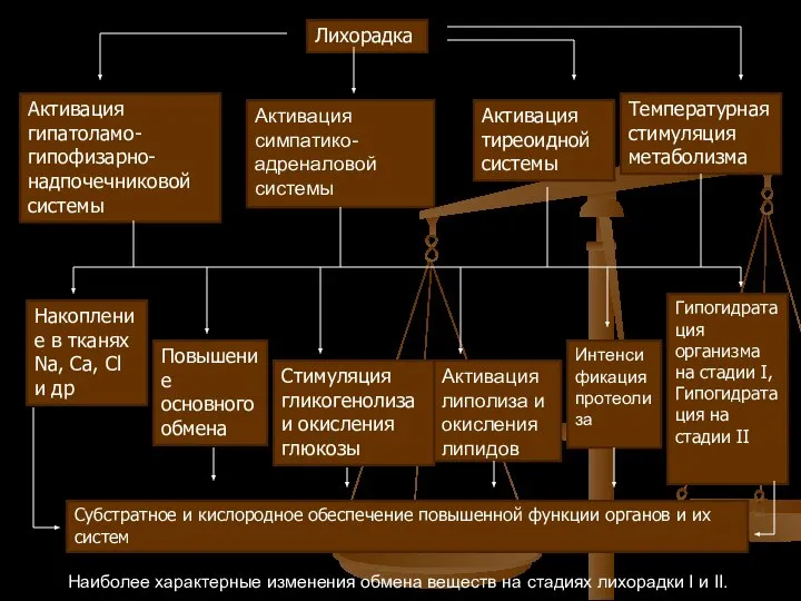 Лихорадка Активация гипатоламо-гипофизарно-надпочечниковой системы Активация симпатико-адреналовой системы Активация тиреоидной системы Температурная