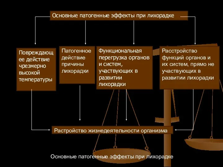 Основные патогенные эффекты при лихорадке Повреждающее действие чрезмерно высокой температуры Патогенное