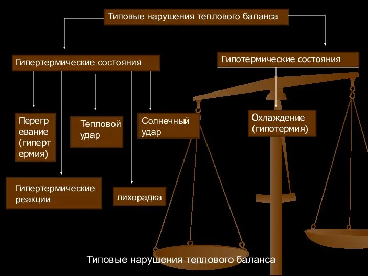 Типовые нарушения теплового баланса Типовые нарушения теплового баланса Гипертермические состояния Гипотермические