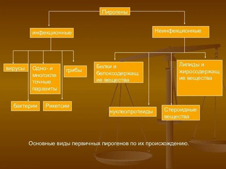 Пирогены инфекционные Неинфекционные вирусы Одно- и многоклеточные паразиты грибы бактерии Рикетсии