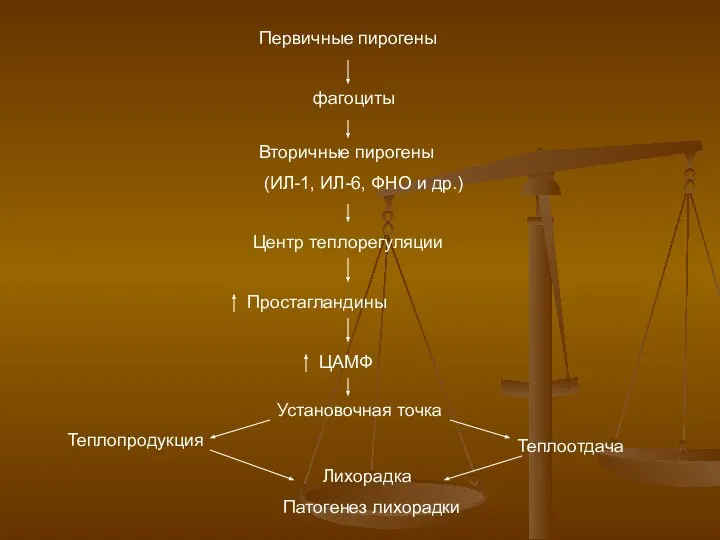 Первичные пирогены фагоциты Вторичные пирогены (ИЛ-1, ИЛ-6, ФНО и др.) Центр