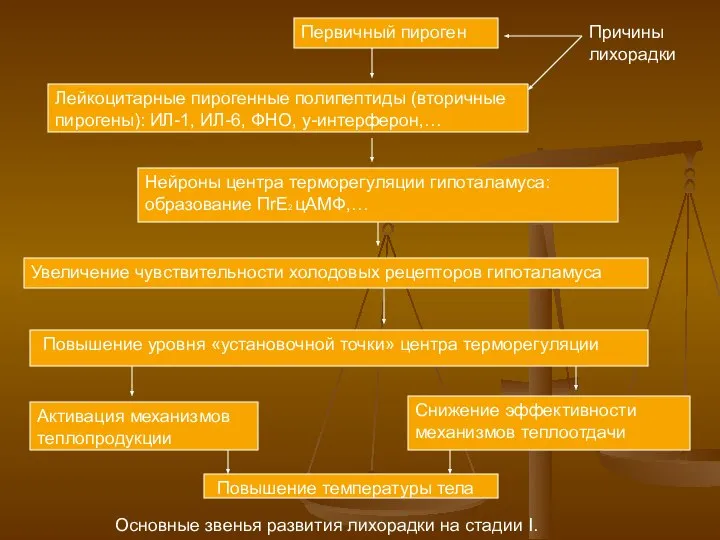 Первичный пироген Причины лихорадки Лейкоцитарные пирогенные полипептиды (вторичные пирогены): ИЛ-1, ИЛ-6,