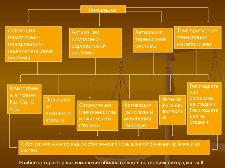 Лихорадка Активация гипатоламо-гипофизарно-надпочечниковой системы Активация симпатико-адреналовой системы Активация тиреоидной системы Температурная