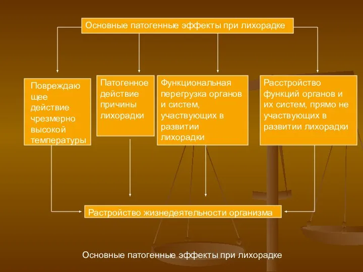 Основные патогенные эффекты при лихорадке Повреждающее действие чрезмерно высокой температуры Патогенное