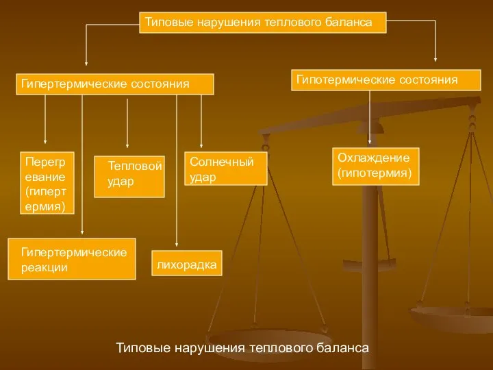 Типовые нарушения теплового баланса Типовые нарушения теплового баланса Гипертермические состояния Гипотермические