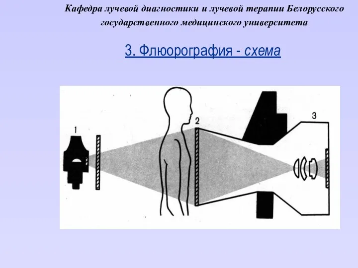 Кафедра лучевой диагностики и лучевой терапии Белорусского государственного медицинского университета 3. Флюорография - схема