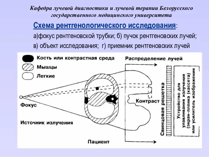 Кафедра лучевой диагностики и лучевой терапии Белорусского государственного медицинского университета Схема