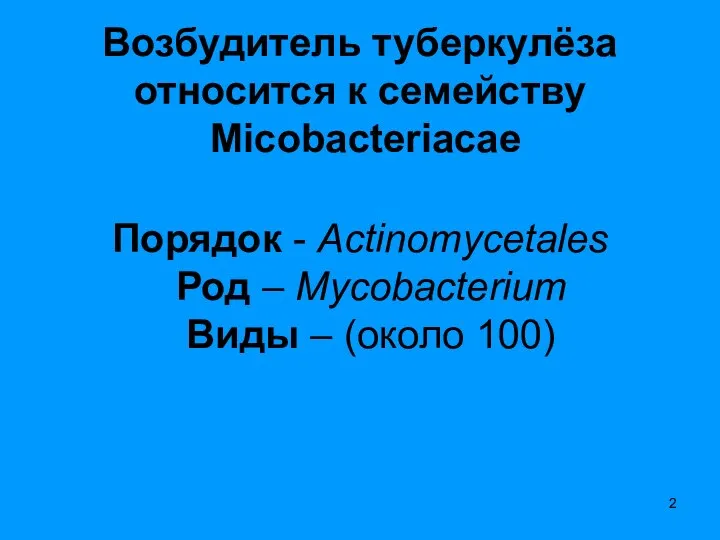 Возбудитель туберкулёза относится к семейству Micobacteriacae Порядок - Actinomycetales Род – Мycobacterium Виды – (около 100)