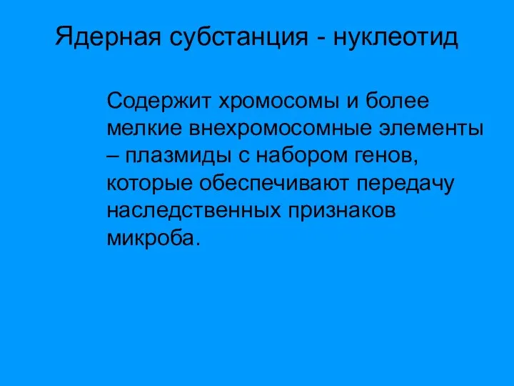 Ядерная субстанция - нуклеотид Содержит хромосомы и более мелкие внехромосомные элементы