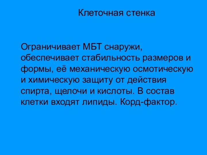 Клеточная стенка Ограничивает МБТ снаружи, обеспечивает стабильность размеров и формы, её