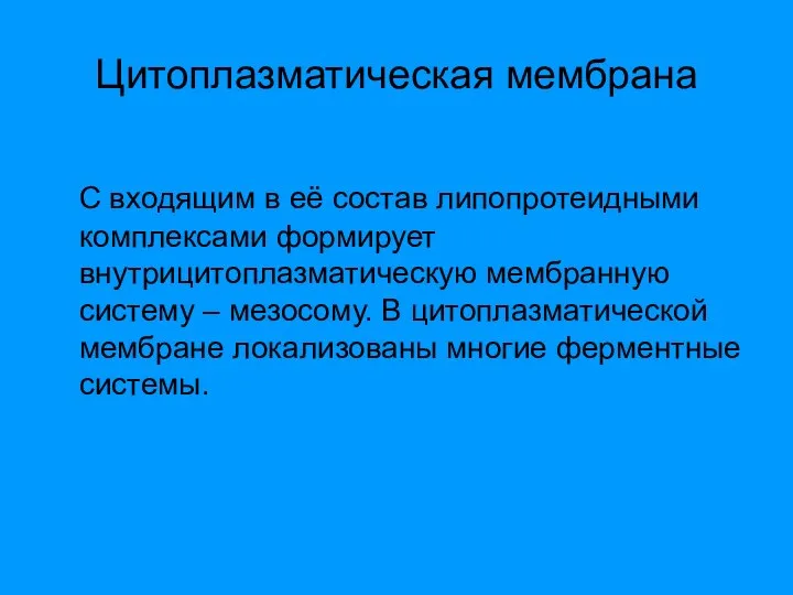 Цитоплазматическая мембрана С входящим в её состав липопротеидными комплексами формирует внутрицитоплазматическую