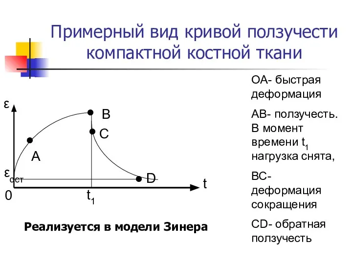 Примерный вид кривой ползучести компактной костной ткани ОА- быстрая деформация АВ-