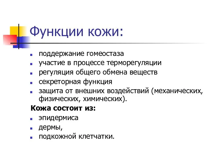 Функции кожи: поддержание гомеостаза участие в процессе терморегуляции регуляция общего обмена