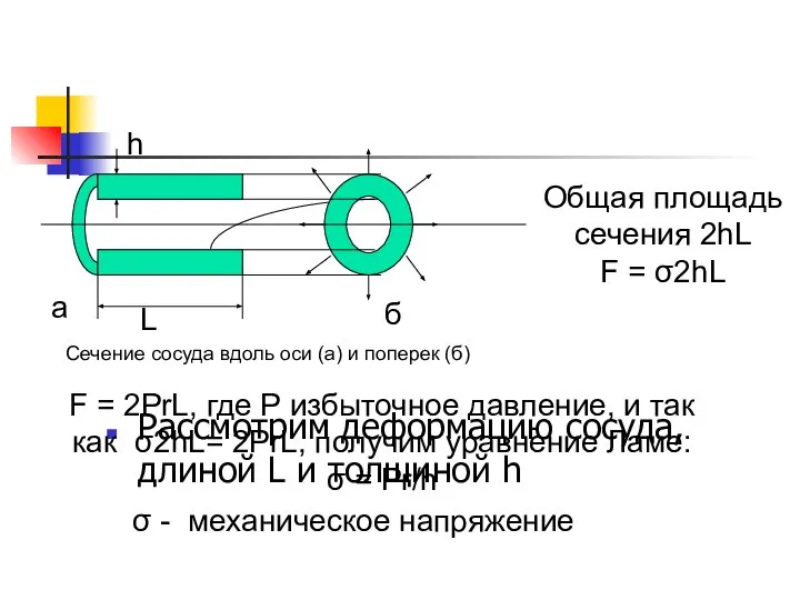 Рассмотрим деформацию сосуда, длиной L и толщиной h h Общая площадь