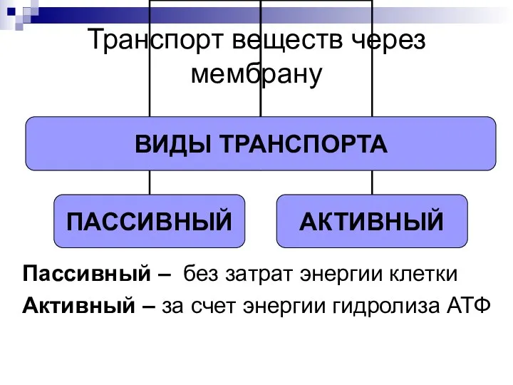 Транспорт веществ через мембрану Пассивный – без затрат энергии клетки Активный