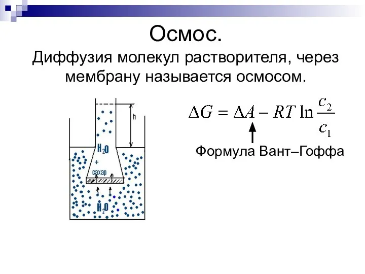 Осмос. Диффузия молекул растворителя, через мембрану называется осмосом. Формула Вант–Гоффа