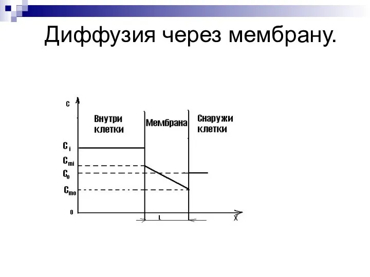 Диффузия через мембрану.