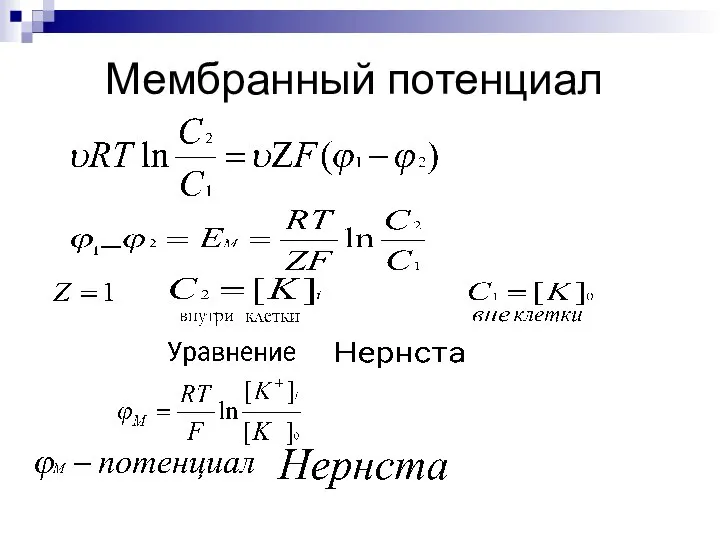 Мембранный потенциал