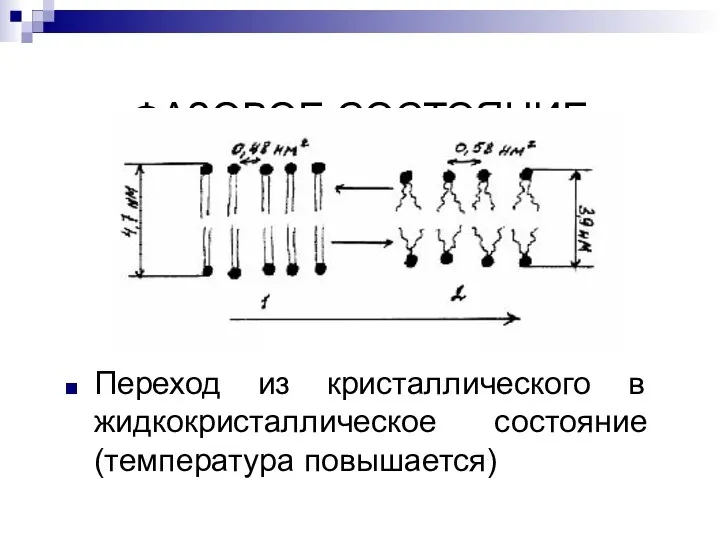 ФАЗОВОЕ СОСТОЯНИЕ Переход из кристаллического в жидкокристаллическое состояние (температура повышается)