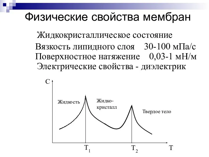 Физические свойства мембран Жидкокристаллическое состояние Вязкость липидного слоя 30-100 мПа/с Поверхностное