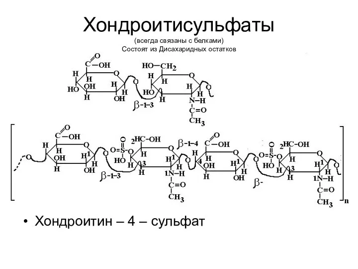 Хондроитисульфаты (всегда связаны с белками) Состоят из Дисахаридных остатков Хондроитин – 4 – сульфат