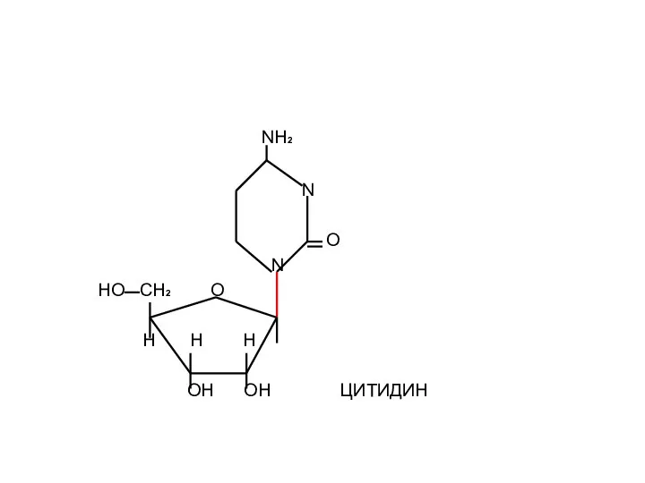 NH2 N O N HO CH2 O H H H OH OH ЦИТИДИН