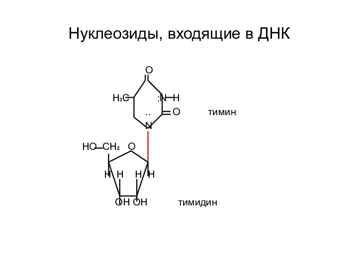 Нуклеозиды, входящие в ДНК O H3С :N H .. O тимин