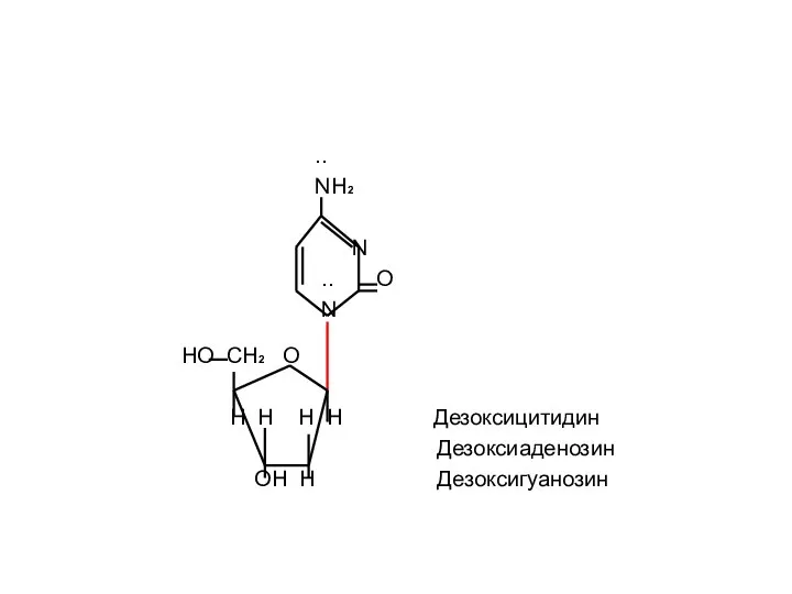 .. NH2 N .. O N HO CH2 O H H