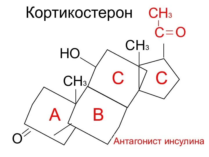 Кортикостерон О СН3 СН3 СН3 С О НО А В С С Антагонист инсулина