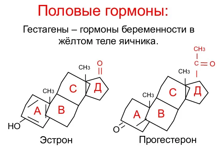 Половые гормоны: Гестагены – гормоны беременности в жёлтом теле яичника. СН3